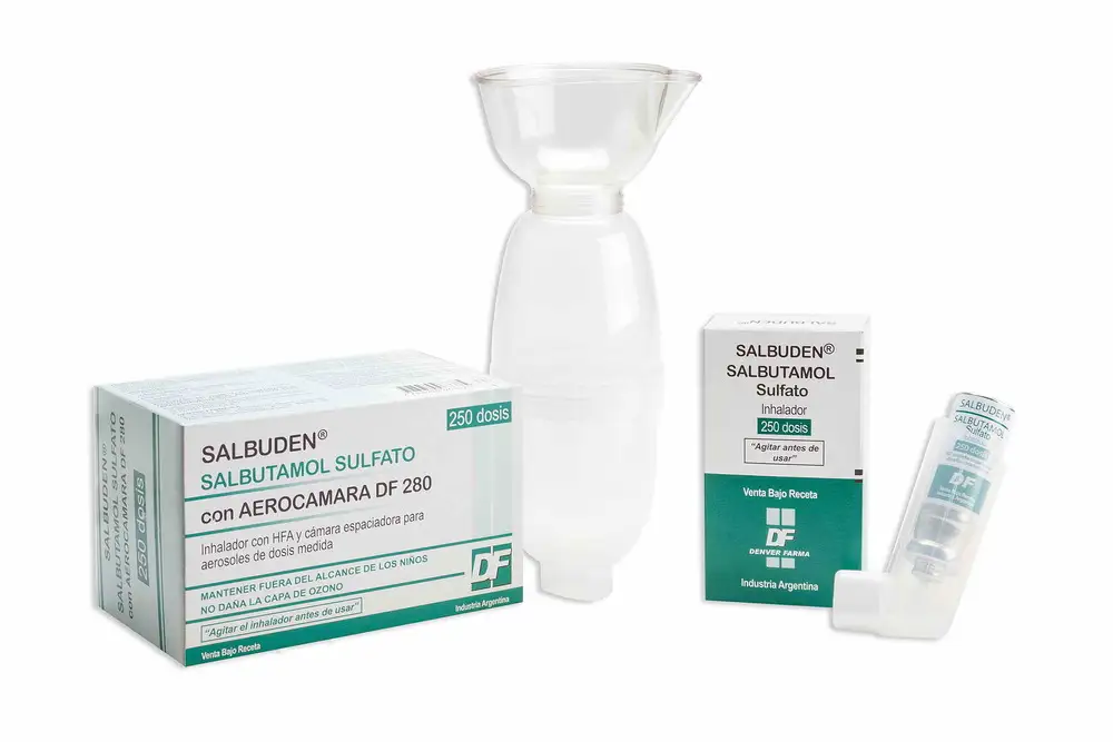 SALBUTAMOL AEROSOL X 250 D.100 MCG (DENVER F) - D8